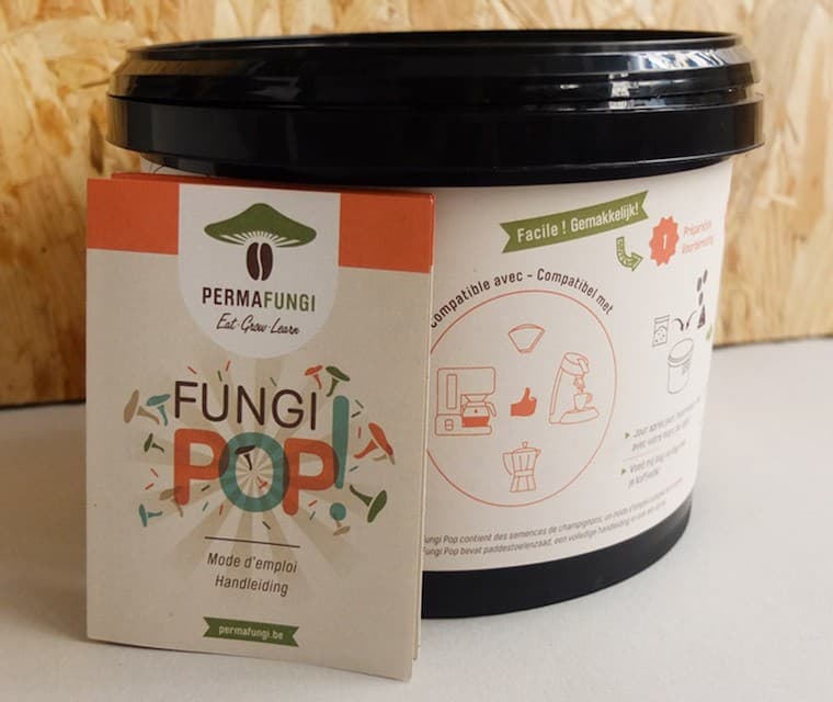 Kit PermaFungi "FungiPop"