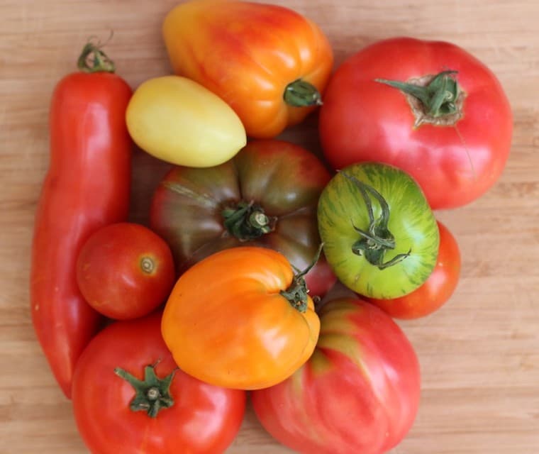 Tomates anciennes mixtes