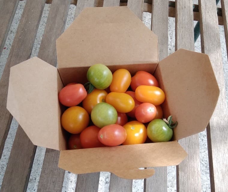 Tomates cerises couleurs