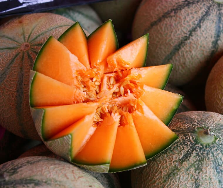 Melon 'Charentais' (FR)