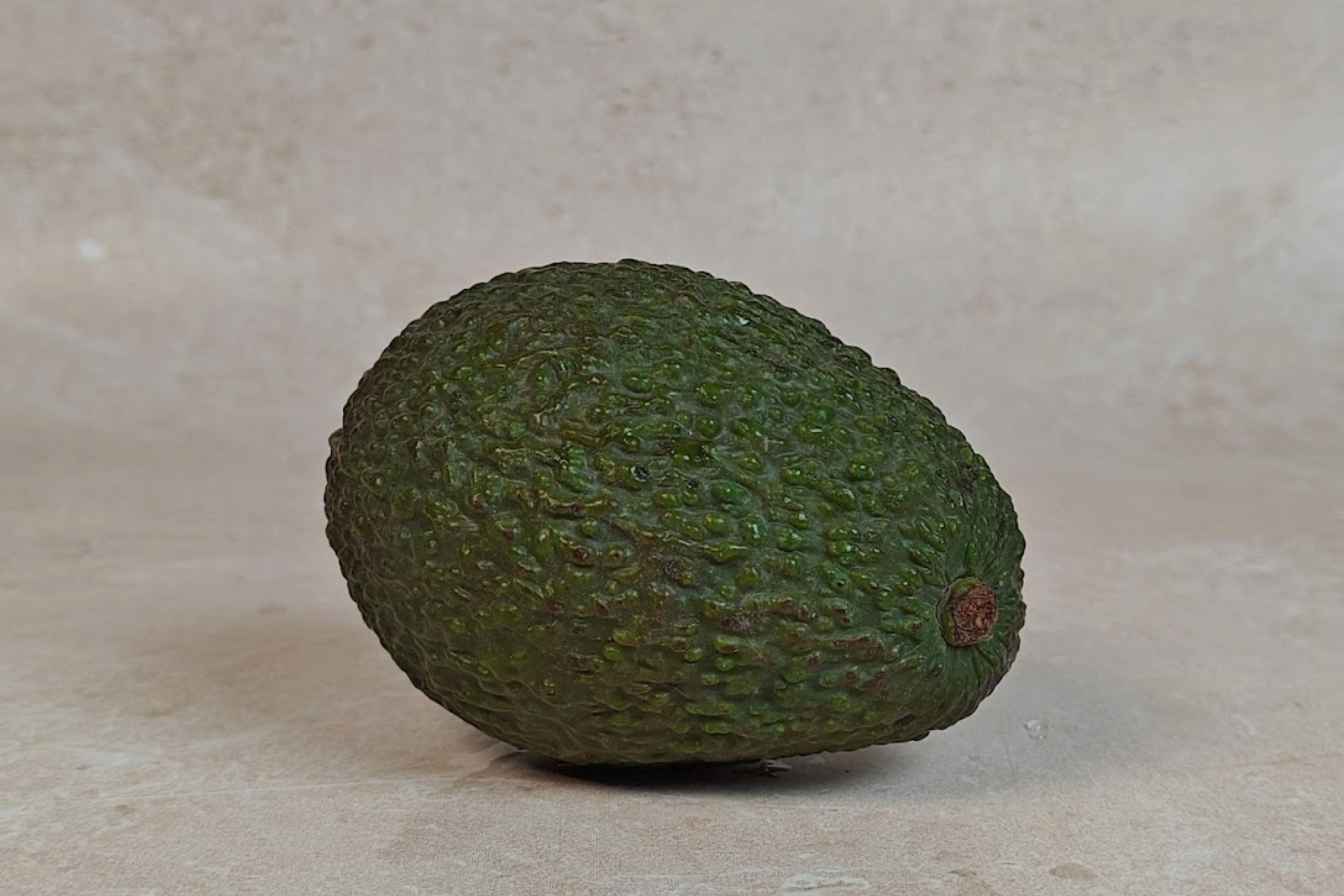 Kopen Avocado (Hass variëteit) 1 stuk (Bio)