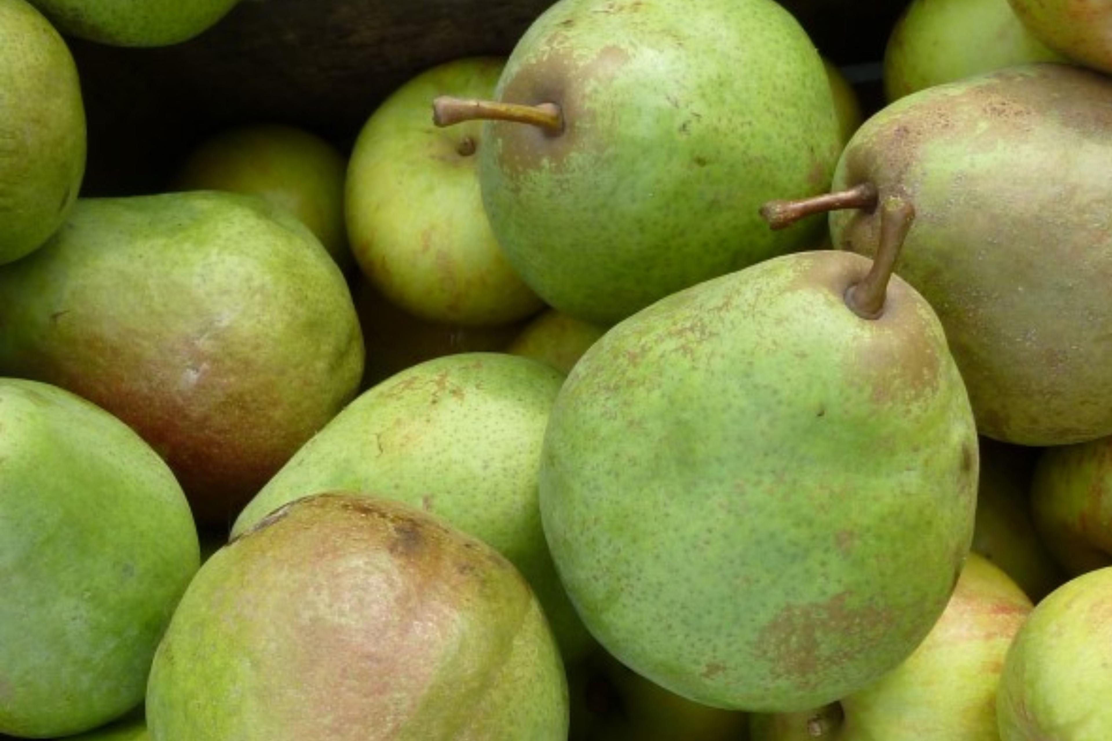 Kopen Saint Remy Peren (om te bakken) 1 kg (Bio)