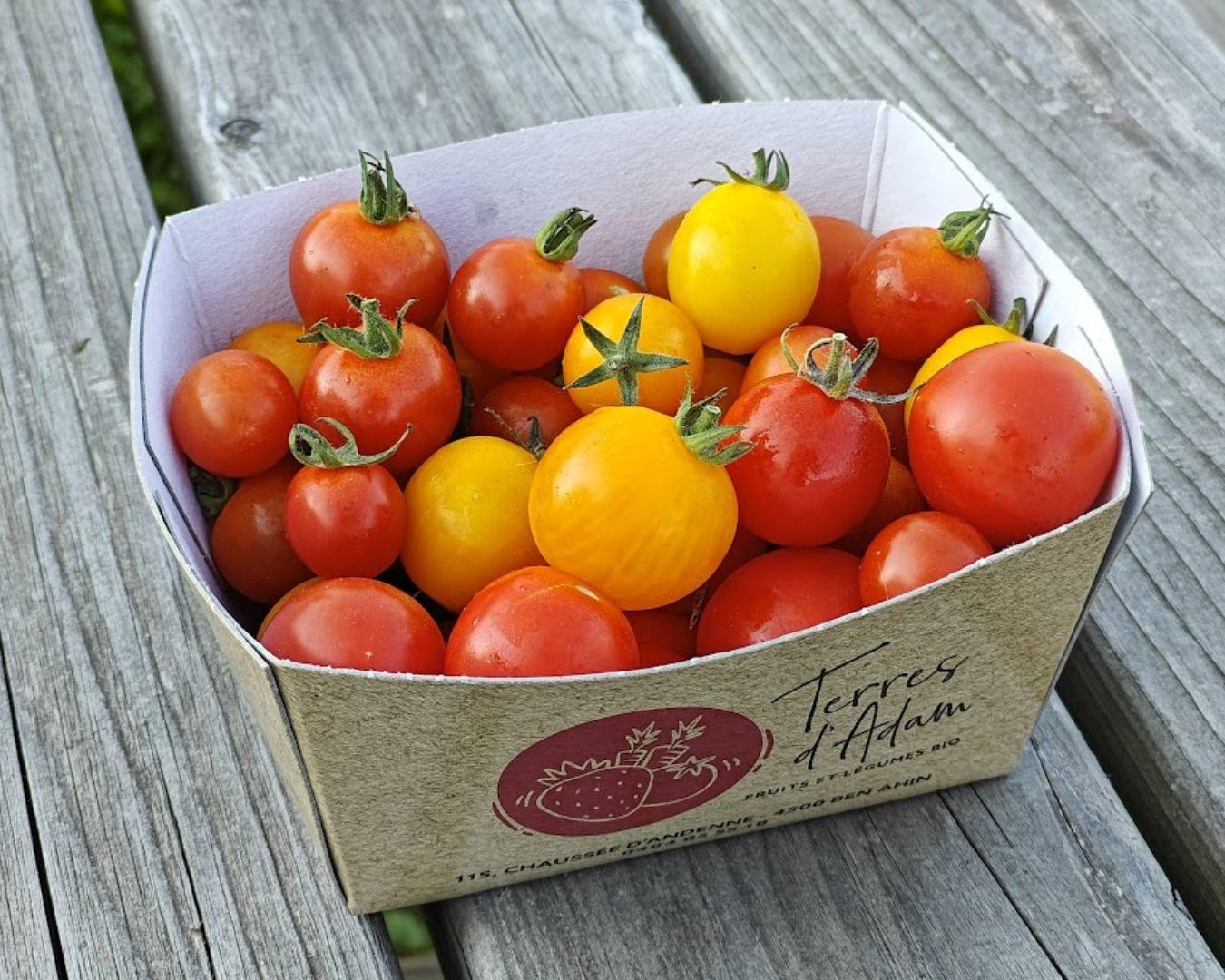Acheter Tomates cerises de couleur (500g) 500 gr (Bio)