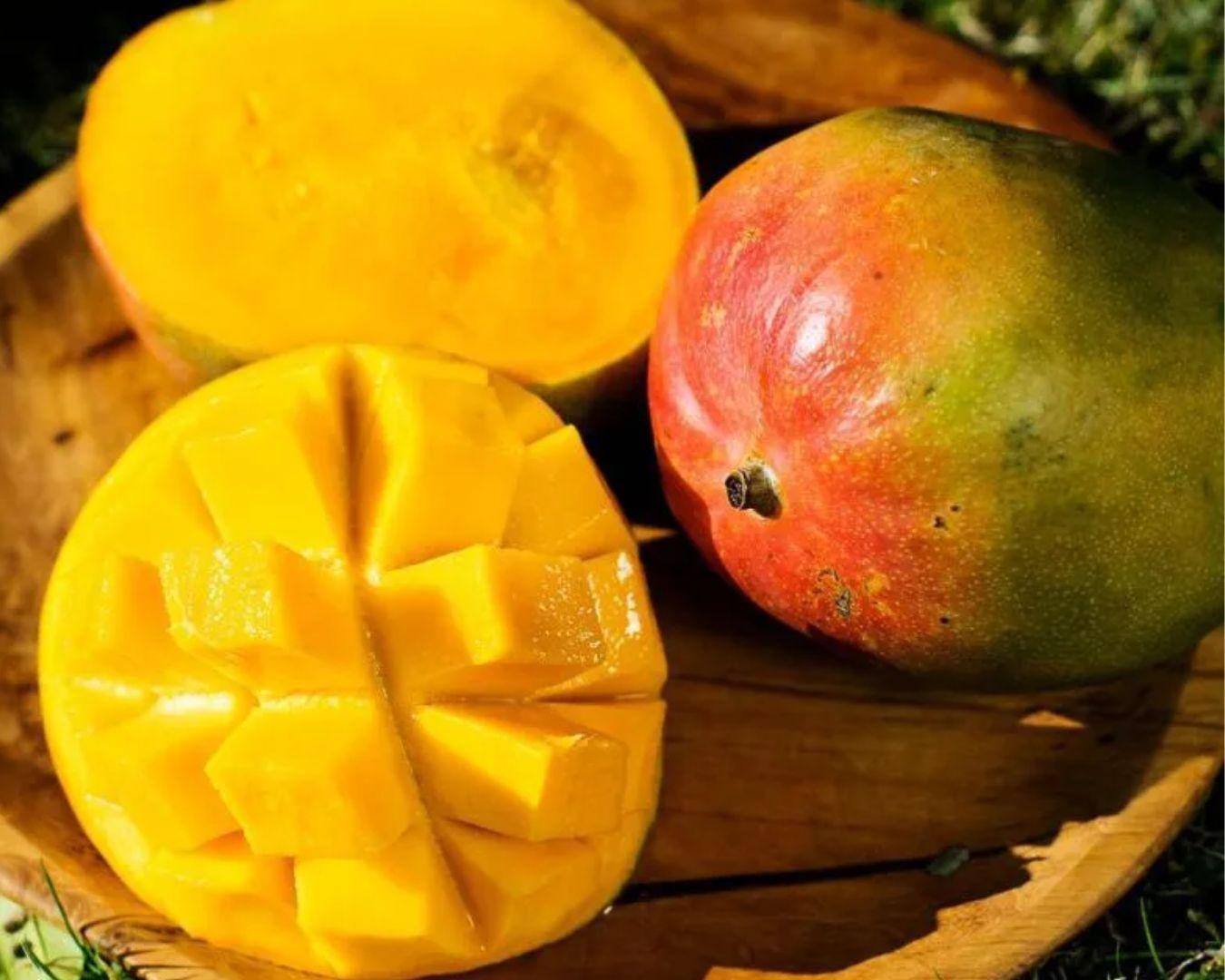 Mango (wild, uit de bergen) online kopen