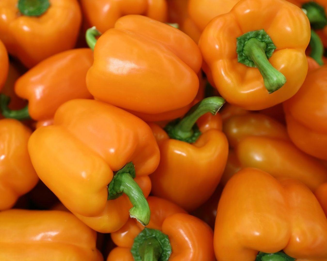 Oranje paprika online kopen