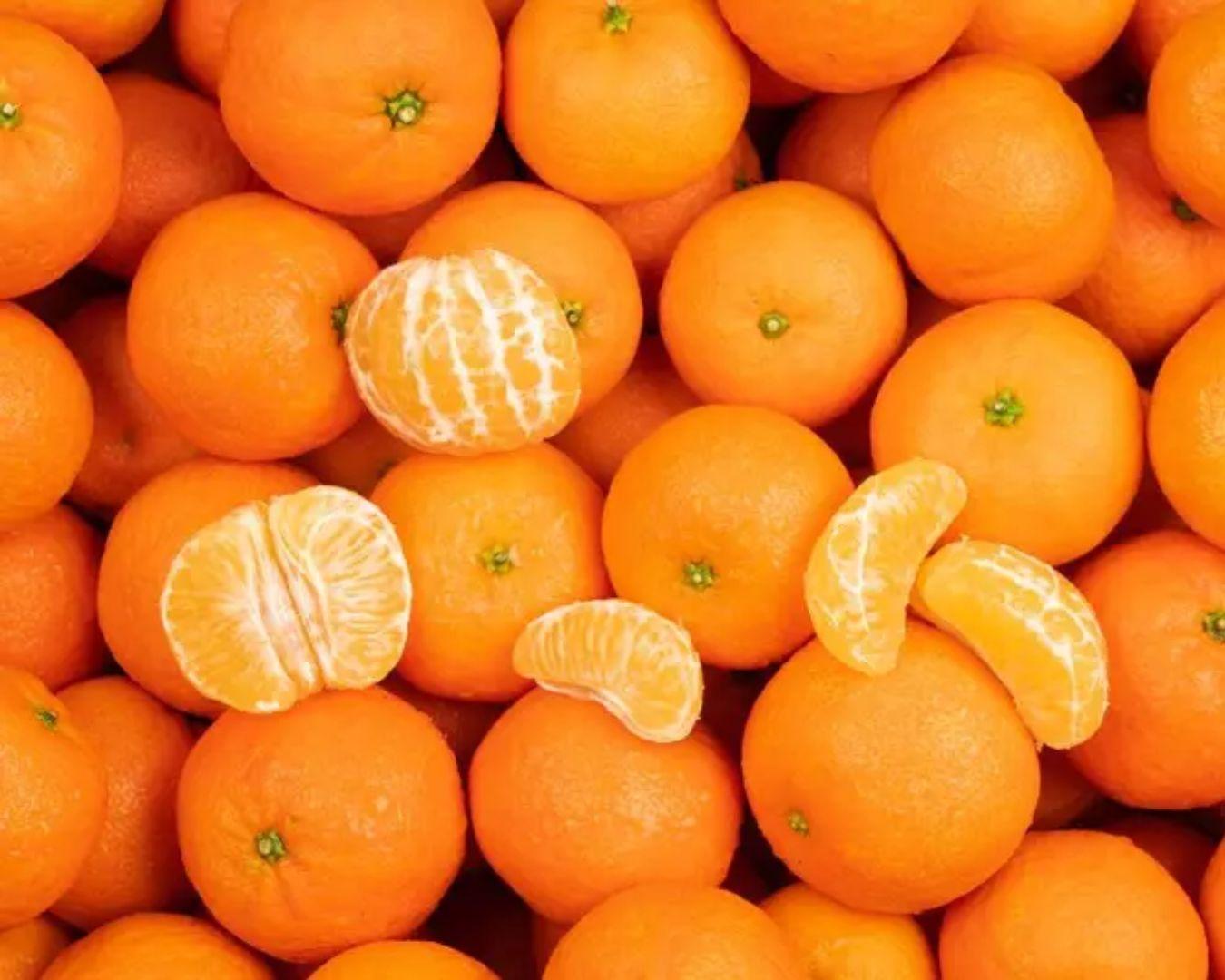 Acheter Mandarines Primosole en ligne