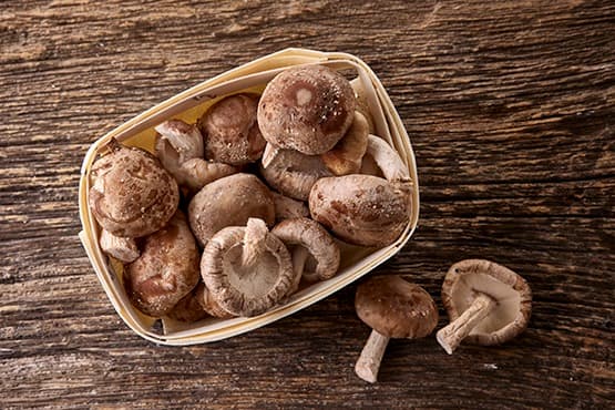 Shiitake paddenstoelen online kopen