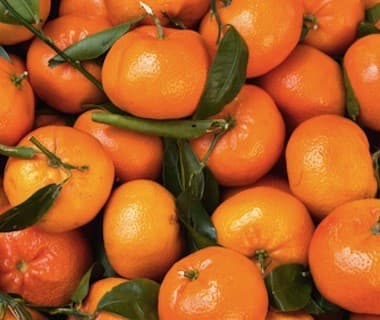 Kopen Grote 'Nadorcott' clementines van Spanje 1 kg (Bio)
